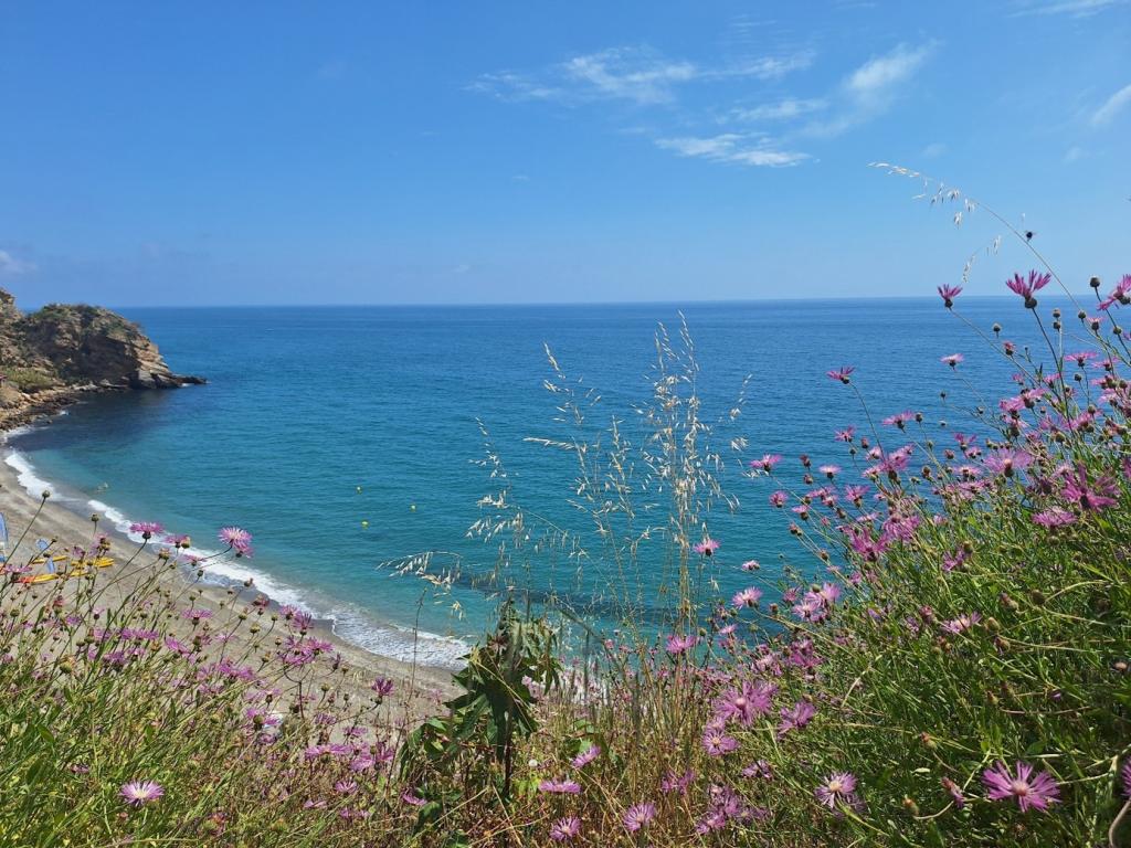 Wandelroutes in de omgeving van Torrox