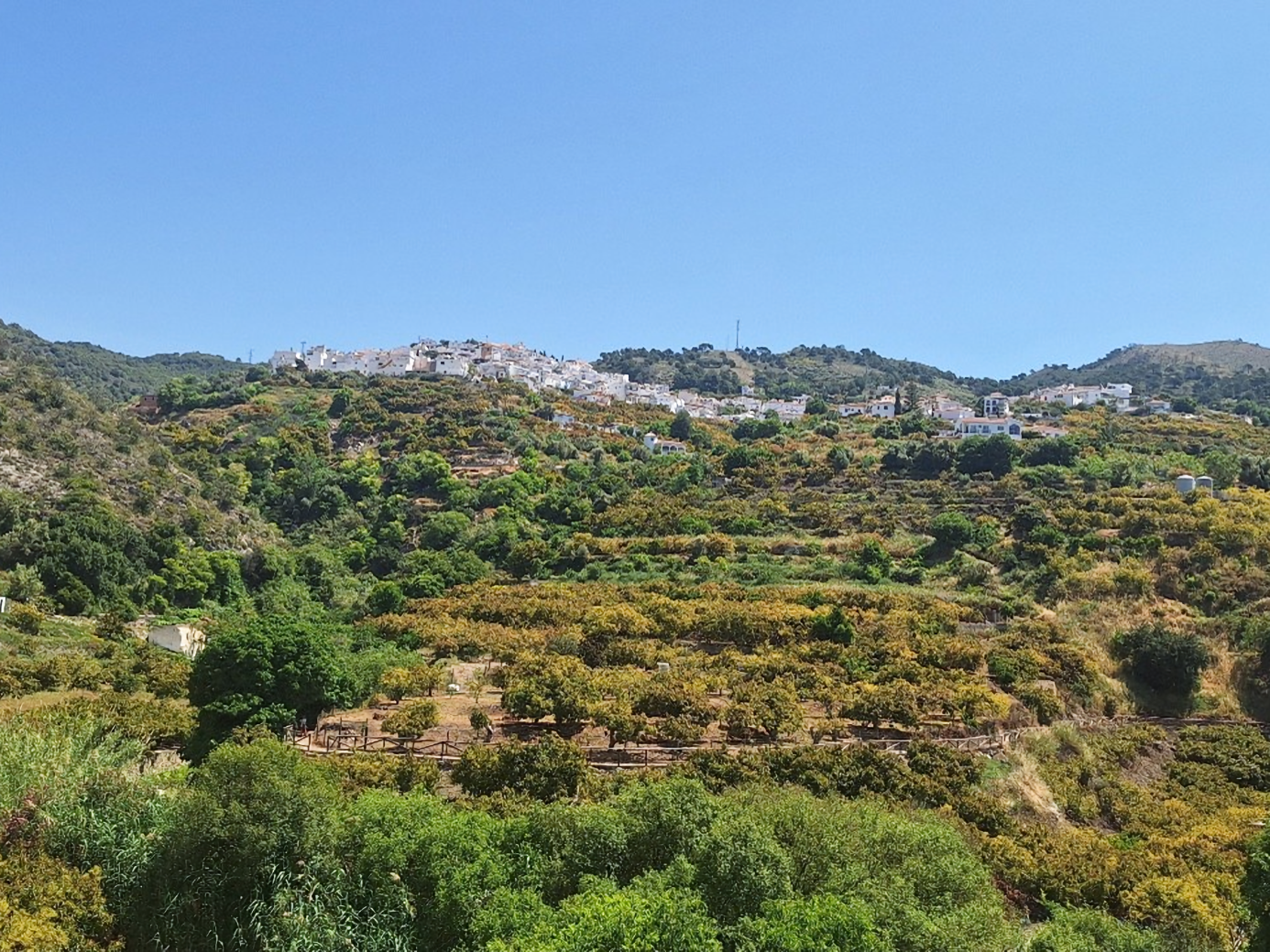 Wandelen door de Axarquía – Cómpeta, Canillas de Aceituno & Árchez